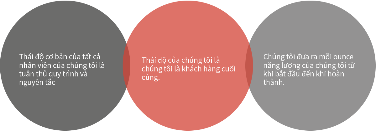 policy_vn