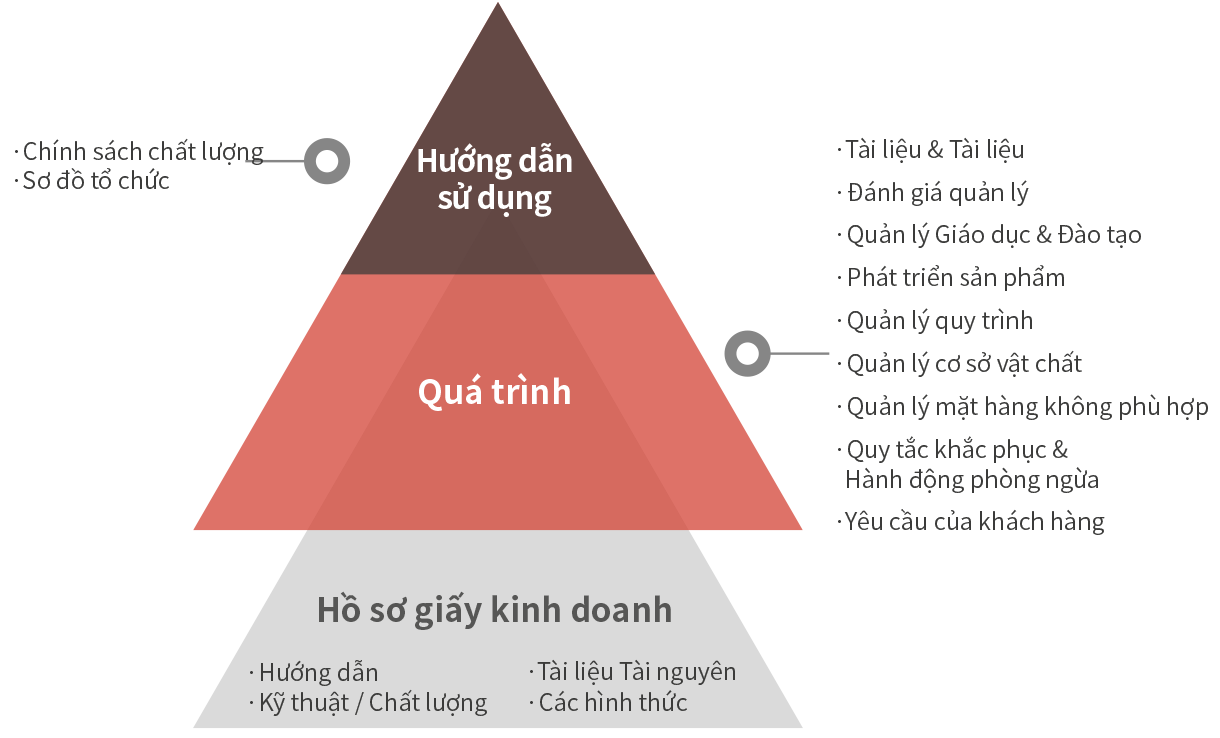system_vn